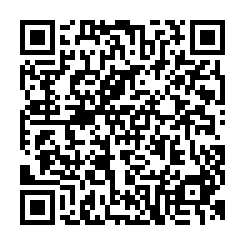 台南新化國8旁合法廠房-QR CODE