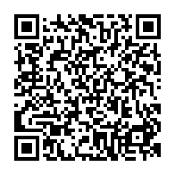 新市漂亮10米路廠房-QR CODE
