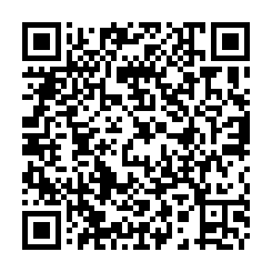 嘉義市大路邊工業地-QR CODE